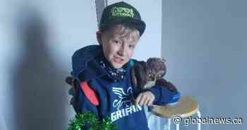 Community sentence for Edmonton woman whose dogs killed 11-year-old Kache Grist