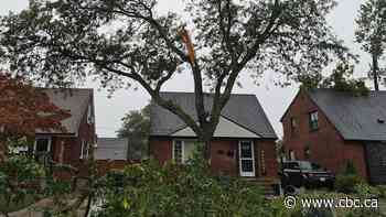 Environment Canada radar confirms tornado swept across parts of Windsor-Essex