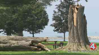 Storms leave widespread damage in Niagara County