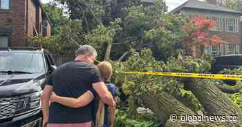 ‘God says ‘you can’t leave’: Toronto man whose home was hit by tree during storm proposes to fiance