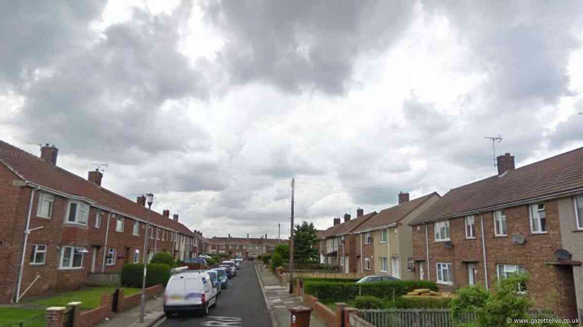 Dog owner in court after pet bit postal worker's fingertip off as it came through letterbox
