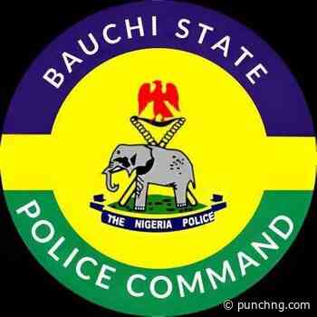 Police probe Bauchi cop’s resignation over alleged salary denial