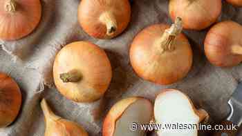 Onions will keep fresh for up to six months if stored in one common kitchen area
