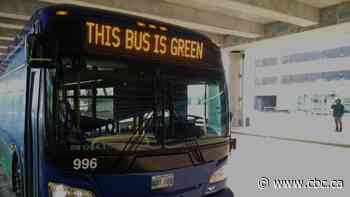 Winnipeg considers electric bus purchases, Arlington Bridge spending and Osborne safety study