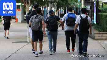 Course that accepted thousands of international student transfers cancelled