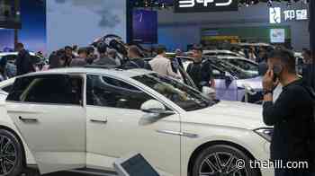 Auto companies call for ban on Chinese-made cars