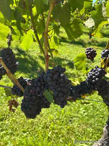 A taste of history at Freedom Run Winery