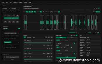 New Sample Editor, Recorte, Now Available