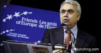 Nigeria’s energy investment may double in five years — IEA