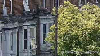 Moment kidnap victim leaps from first-floor window, onto tree before fleeing on foot and chancing upon police: Gang is jailed