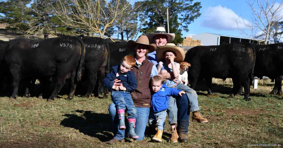 Buyers seeking muscle and structure as Hazeldean sends every sire out the gate