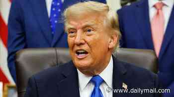 Donald Trump speaks out on Tiger Woods' driving ban after golf icon called President from the scene of his Florida crash