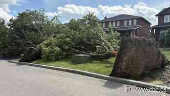 Vaughan cleans up after severe thunderstorm leaves trail of damage