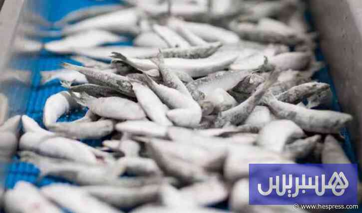 خصاص في سردين المغرب بألمانيا .. ونقص الإمداد يهدد برفع الأسعار