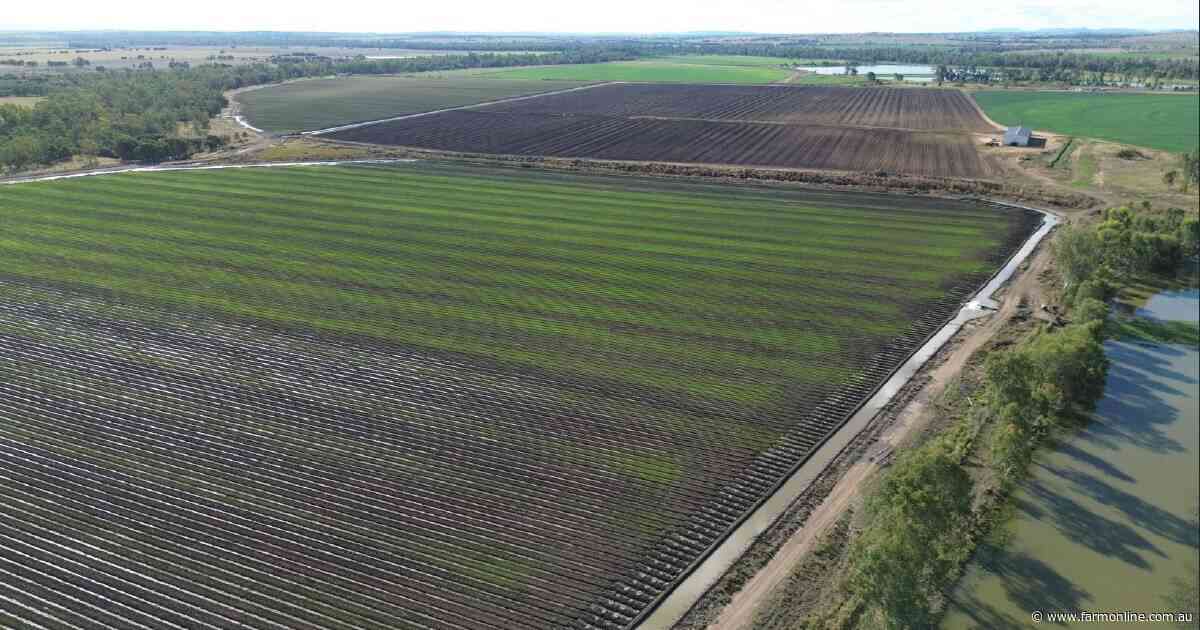 Negotiations continuing on major irrigation, cattle aggregation | Photos