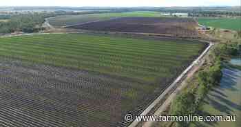 Negotiations continuing on major irrigation, cattle aggregation | Photos