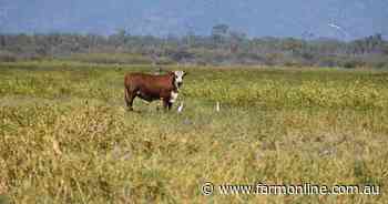 Barringha a sizeable 3890 acre grazing property for 700 cattle | Video