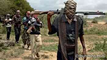 Bandits threaten to takeover Sokoto community, demand N40m levy