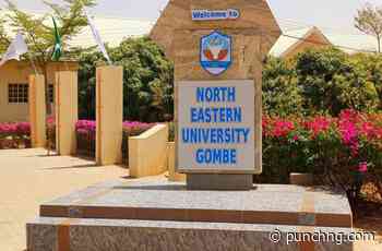Gombe varsity approves 65% salary increase for staff