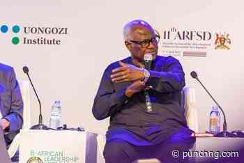 Experts commit to local skills, invest in homegrown solutions