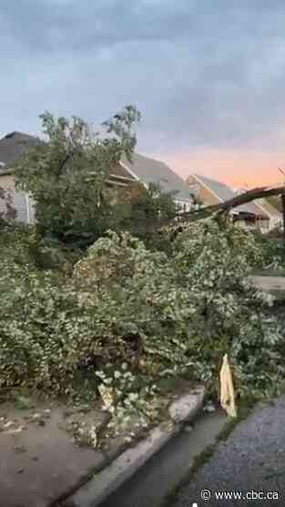 This is what 1 Windsor neighbourhood looked like after Thursday's storm tore through