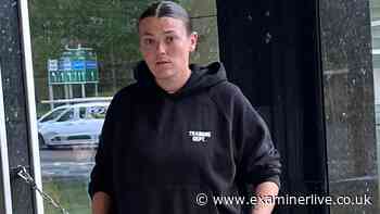 'Batty boy' slur at police officer lands Huddersfield woman in court
