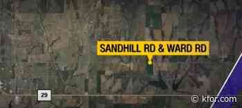Man dies after swerving to avoid wild pigs on road