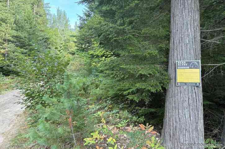 Man survives grizzly bear attack while walking off-leash dog in Shuswap