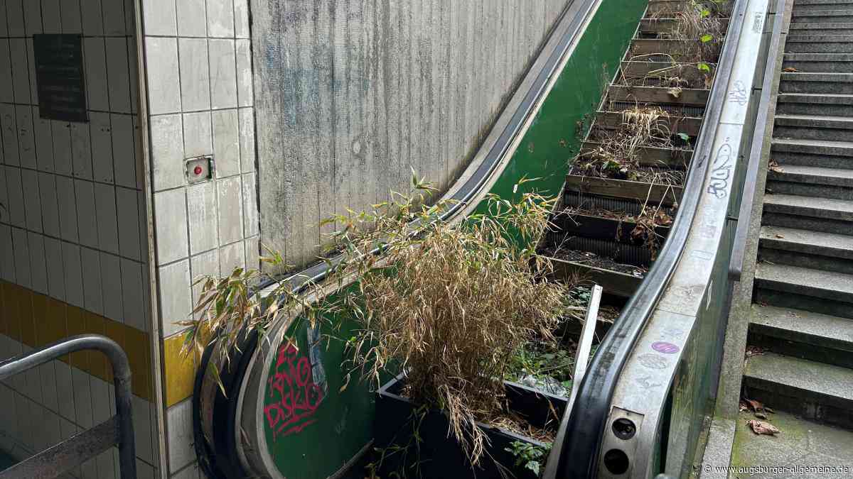 Das Grün ist vertrocknet, die Kunst beschmiert: Unterführung in Augsburg sorgt für Unmut