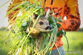 Hegering Münster-West: Im Einsatz für Wildtiere und Natur