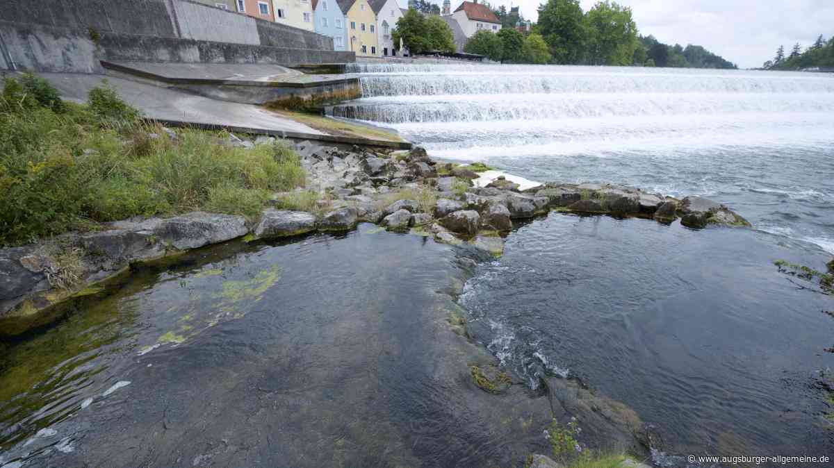 Die Fischtreppe am Lechwehr ist ein Kleinbiotop