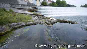 Die Fischtreppe am Lechwehr ist ein Kleinbiotop