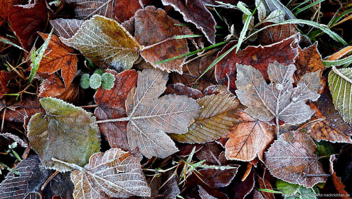 Der September-Fluch: Sollten Anleger davor Angst haben?