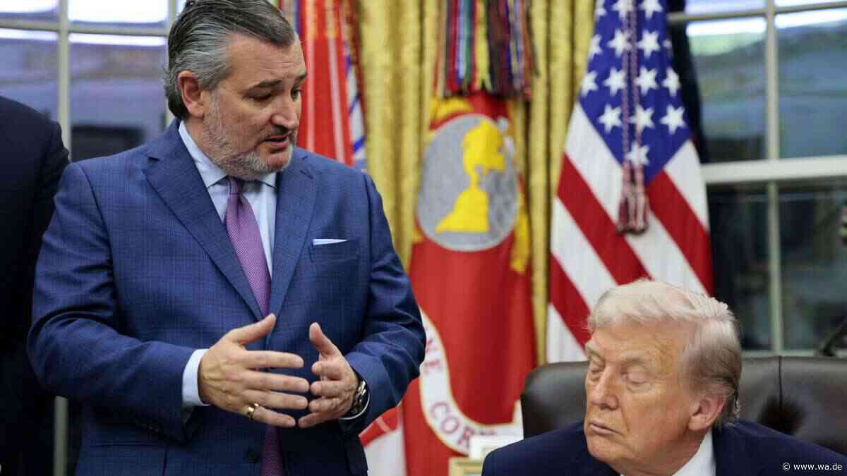 „Lügner-Ted“: Einstiger Erzrivale schwärmt von Trump – und schielt aufs Weiße Haus
