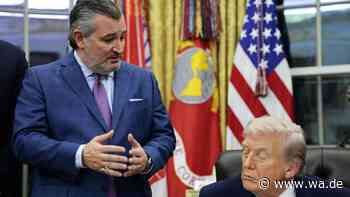 „Lügner-Ted“: Einstiger Erzrivale schwärmt von Trump – und schielt aufs Weiße Haus