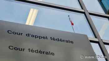 Federal Court of Appeal rules in favour of Quebec moms denied EI benefits after maternity job loss