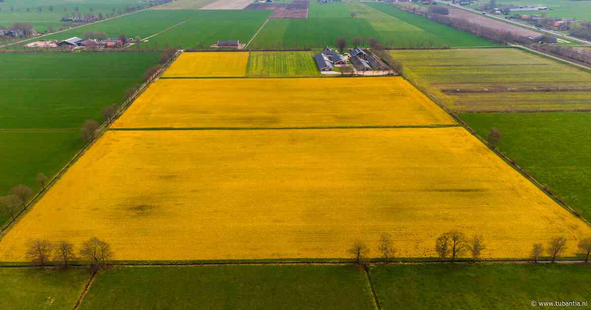 Rechters dwingen Overijssel tot verbod op pesticiden rond scholen, woonwijken en natuur
