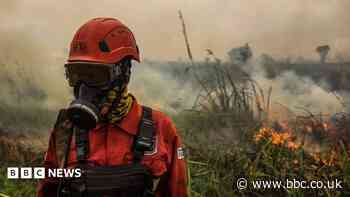 Toxic wildfire haze spreads across South East Asia as 'super' El Niño intensifies