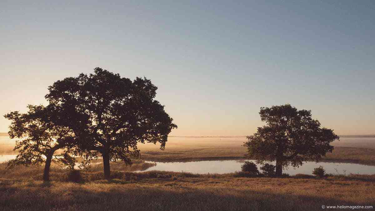 I went on safari – just over an hour from London