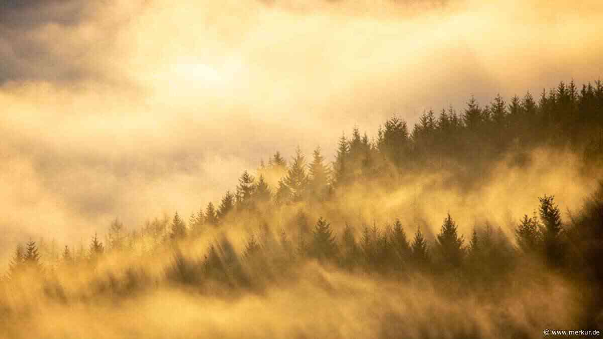 Bauernregel behauptet: „Wie das Wetter am Magnustag, so es vier Wochen bleiben mag …“