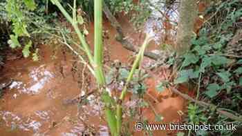 Builder pays over £200k after polluting stream and watercourses