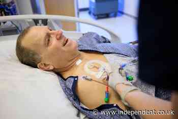 Man kept alive by pig kidney for nine months in world first