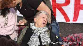 Eight arrested as protestors glue themselves to floor outside arms fair in Newport
