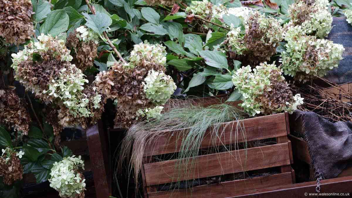 King Charles' former gardener shares essential garden job to do now