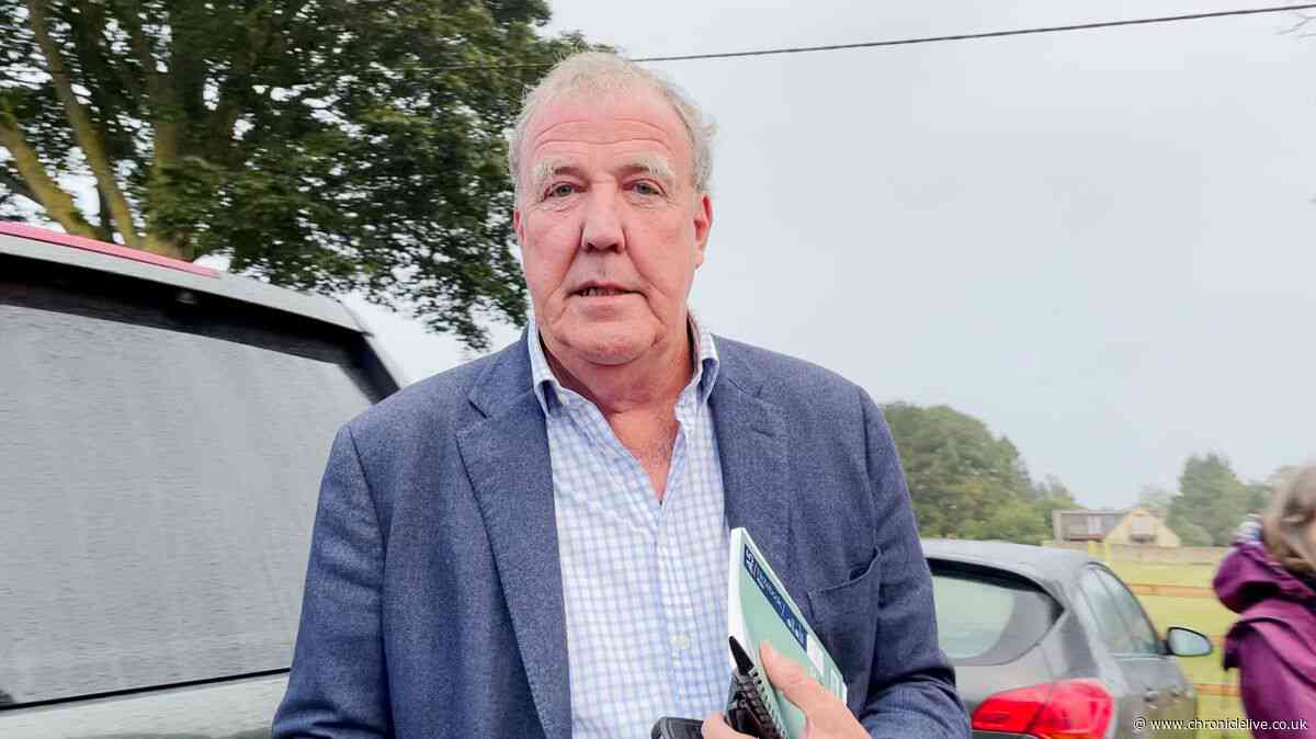 Jeremy Clarkson says 11 sheep 'stolen' from 'favourite field on his farm'