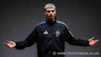 Matias Fernandez-Pardo is the step up from Nick Woltemade Newcastle United craved