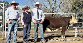 NSW and SA buyers chase docility and carcase at Elite Poll Herefords