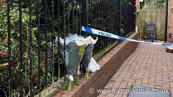 Police officer of 22 years 'lost for words' over alleged Sheffield 'Baby S' murder