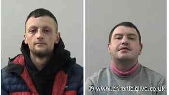 Men killed Tyneside homeless man's dog after 'stupid and childish' online dispute