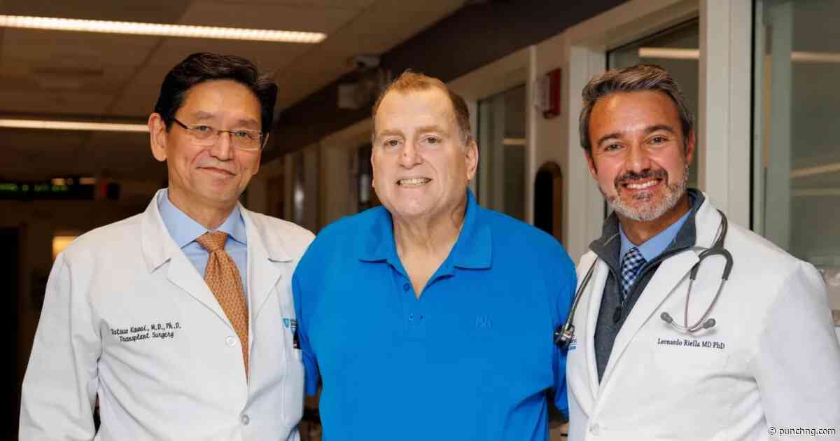Pig kidney transplant helps US man avoid dialysis for nine months